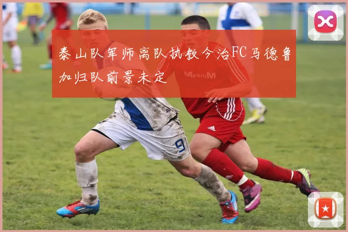 泰山队军师离队执教今治FC马德鲁加归队前景未定